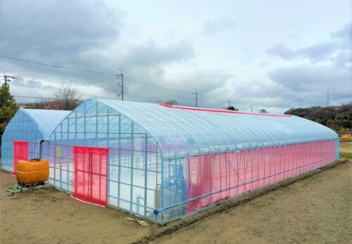 【リリース】大阪府池田市が先進農福連携事業を開始